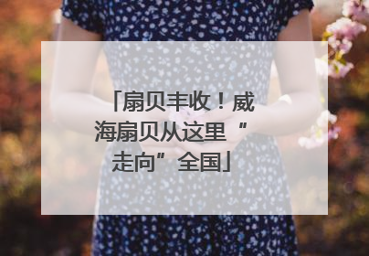 扇贝丰收！威海扇贝从这里“走向”全国