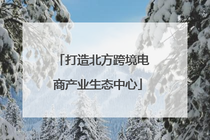 打造北方跨境电商产业生态中心