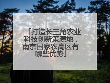打造长三角农业科技创新策源地，南京国家农高区有哪些优势