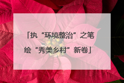 执“环境整治”之笔 绘“秀美乡村”新卷