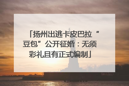 扬州出逃卡皮巴拉“豆包”公开征婚：无须彩礼且有正式编制
