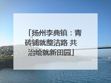 扬州李典镇：青砖铺就整洁路 共治绘就新田园