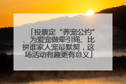投票定“养宠公约”、为爱宠做牵引绳、比拼谁家人宠最默契，这场活动有趣更有意义