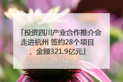 投资四川产业合作推介会走进杭州 签约28个项目、金额321.9亿元