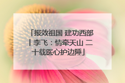 报效祖国 建功西部丨李飞：情牵天山 二十载医心护边陲
