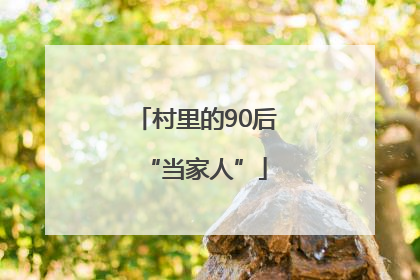村里的90后“当家人”
