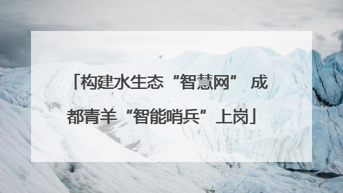 构建水生态“智慧网” 成都青羊“智能哨兵”上岗