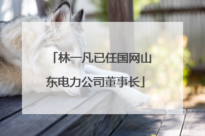 林一凡已任国网山东电力公司董事长
