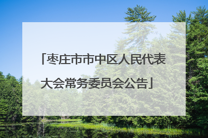 枣庄市市中区人民代表大会常务委员会公告