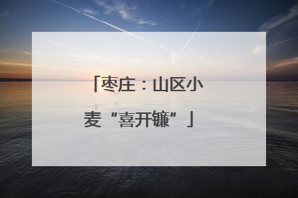 枣庄：山区小麦“喜开镰”