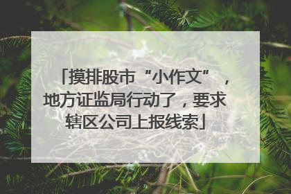 摸排股市“小作文”，地方证监局行动了，要求辖区公司上报线索