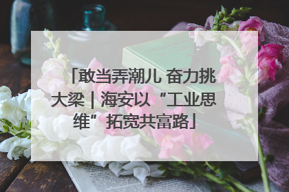 敢当弄潮儿 奋力挑大梁|海安以“工业思维”拓宽共富路