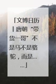 文博日历丨唐朝“带货一哥”不是马不是骆驼，而是……