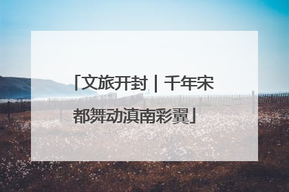 文旅开封｜千年宋都舞动滇南彩翼