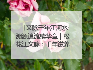 文脉千年江河水·溯源追流续华章｜松花江文脉：千年滋养，奔涌不息