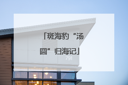 斑海豹“汤圆”归海记