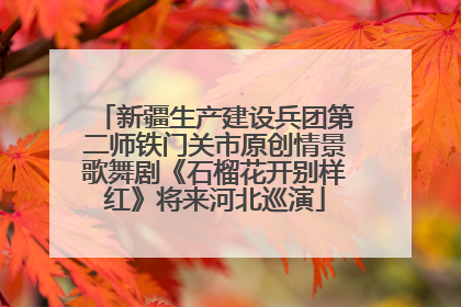 新疆生产建设兵团第二师铁门关市原创情景歌舞剧《石榴花开别样红》将来河北巡演