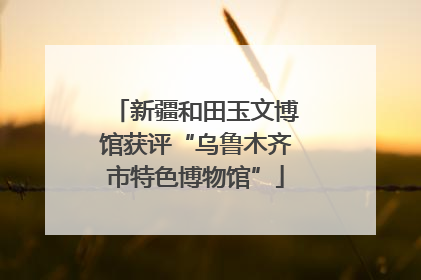 新疆和田玉文博馆获评“乌鲁木齐市特色博物馆”