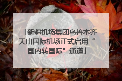 新疆机场集团乌鲁木齐天山国际机场正式启用“国内转国际”通道