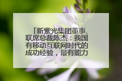 新紫光集团董事、联席总裁陈杰：我国有移动互联网时代的成功经验，最有能力做好AI应用创新