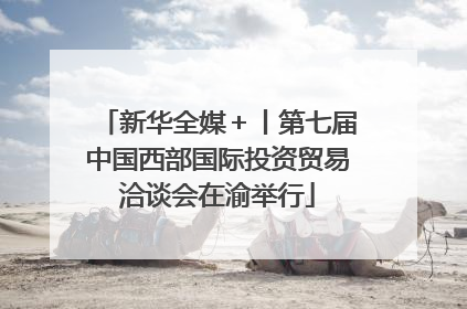 新华全媒＋丨第七届中国西部国际投资贸易洽谈会在渝举行