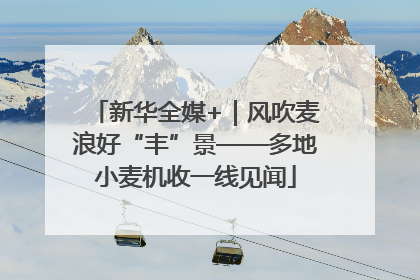 新华全媒+｜风吹麦浪好“丰”景——多地小麦机收一线见闻