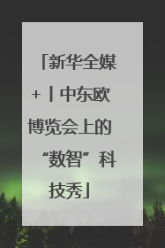 新华全媒+丨中东欧博览会上的“数智”科技秀