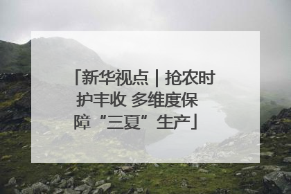 新华视点｜抢农时 护丰收 多维度保障“三夏”生产