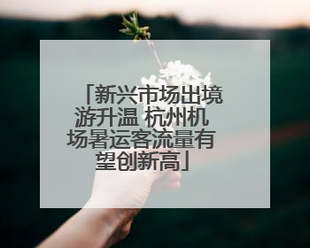 新兴市场出境游升温 杭州机场暑运客流量有望创新高