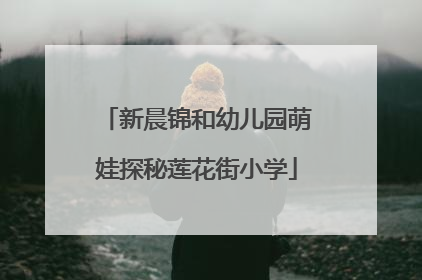 新晨锦和幼儿园萌娃探秘莲花街小学