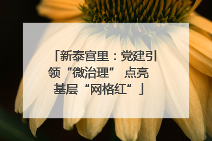 新泰宫里：党建引领“微治理” 点亮基层“网格红”
