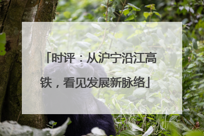 时评：从沪宁沿江高铁，看见发展新脉络