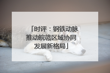 时评：钢铁动脉推动皖赣区域协同发展新格局