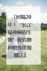 时隔20年！“长江最神秘的生物”极危物种鳤鱼重现赣江