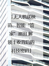 无人机送秧苗、智能“管家”巡田 解锁丰收背后的科技密码