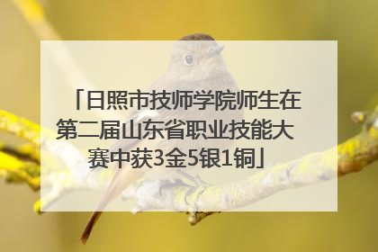 日照市技师学院师生在第二届山东省职业技能大赛中获3金5银1铜