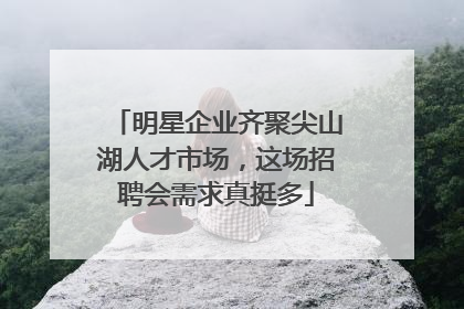 明星企业齐聚尖山湖人才市场，这场招聘会需求真挺多