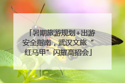 暑期旅游规划+出游安全指南，武汉文旅“红马甲”闪耀高招会