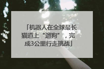 机器人在全球最长猫道上“遛狗”，完成3公里行走挑战