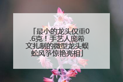 最小的龙头仅重0.6克！手艺人庞希文扎制的微型龙头蜈蚣风筝惊艳亮相