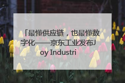 最懂供应链，也最懂数字化——京东工业发布Joy Industrial 重塑工业未来