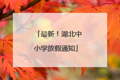 最新！湖北中小学放假通知