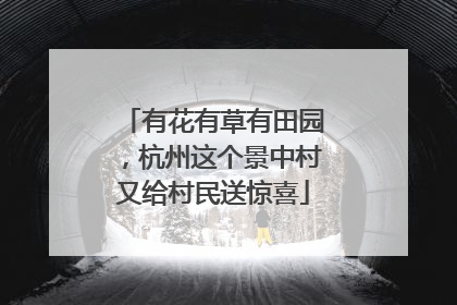 有花有草有田园，杭州这个景中村又给村民送惊喜