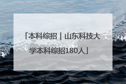 本科综招｜山东科技大学本科综招180人