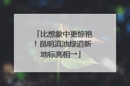 比想象中更惊艳！昆明滇池绿道新地标亮相→