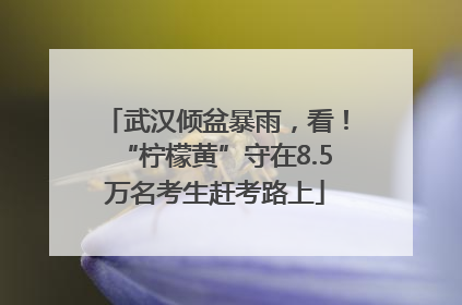 武汉倾盆暴雨，看！“柠檬黄”守在8.5万名考生赶考路上