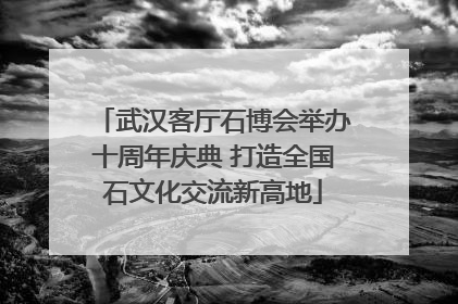 武汉客厅石博会举办十周年庆典 打造全国石文化交流新高地