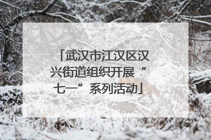 武汉市江汉区汉兴街道组织开展“七一”系列活动
