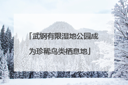 武钢有限湿地公园成为珍稀鸟类栖息地
