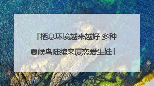 栖息环境越来越好 多种夏候鸟陆续来厦恋爱生娃